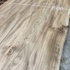 Elm bm pair 324