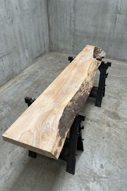 cedar#221