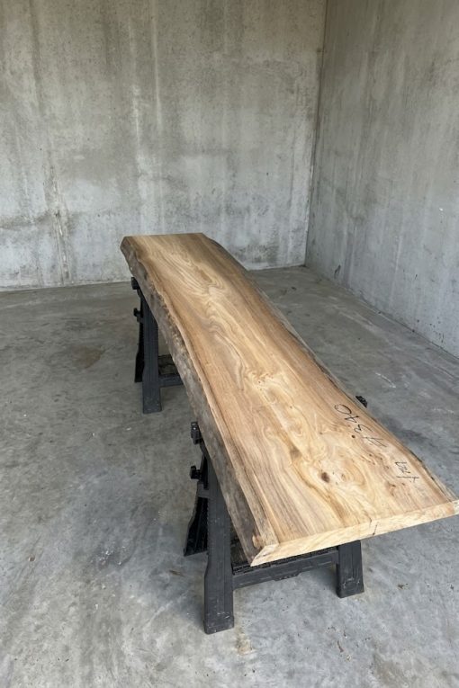 Elm#340