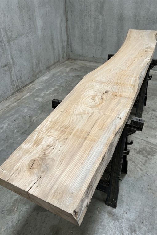 Elm#336