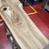 Elm 326