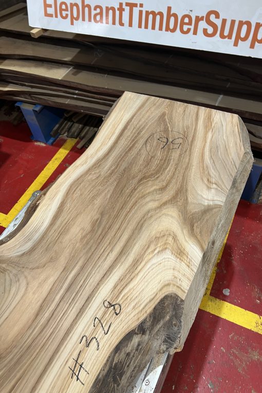 Elm 328
