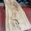 Elm 331