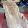 Elm 331