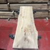 Elm 333
