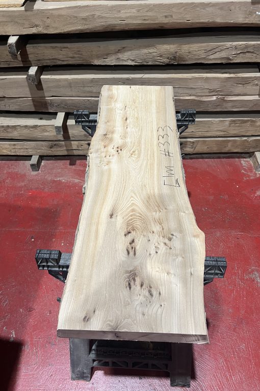 Elm 333