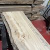 Elm 333