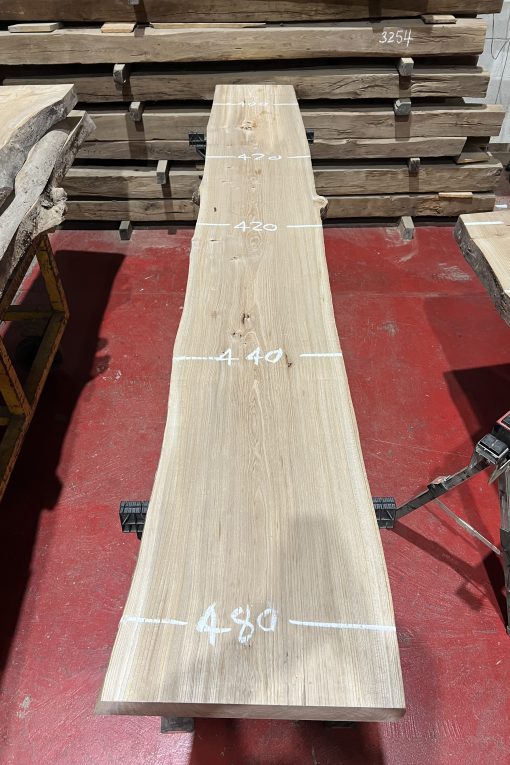Alternative view of elm#335