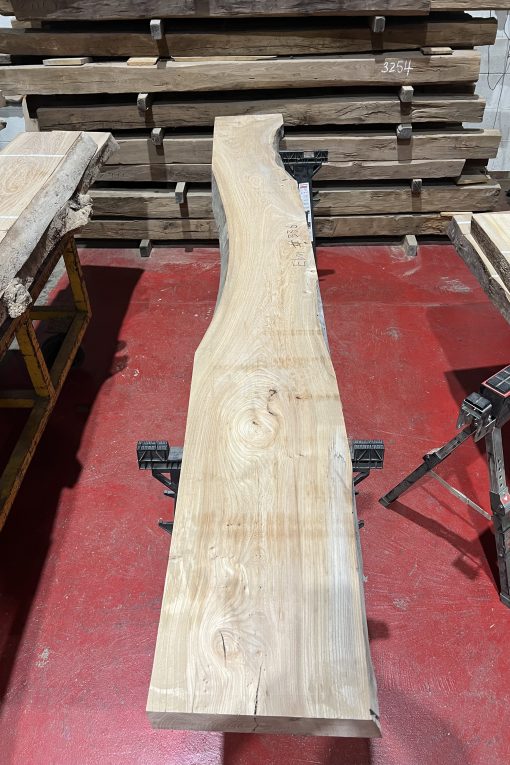 Alternative view of Elm#336