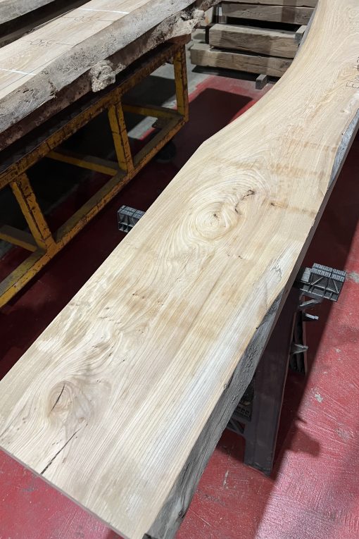 Elm#336
