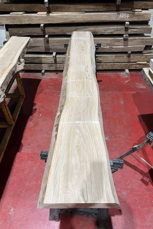Elm#337