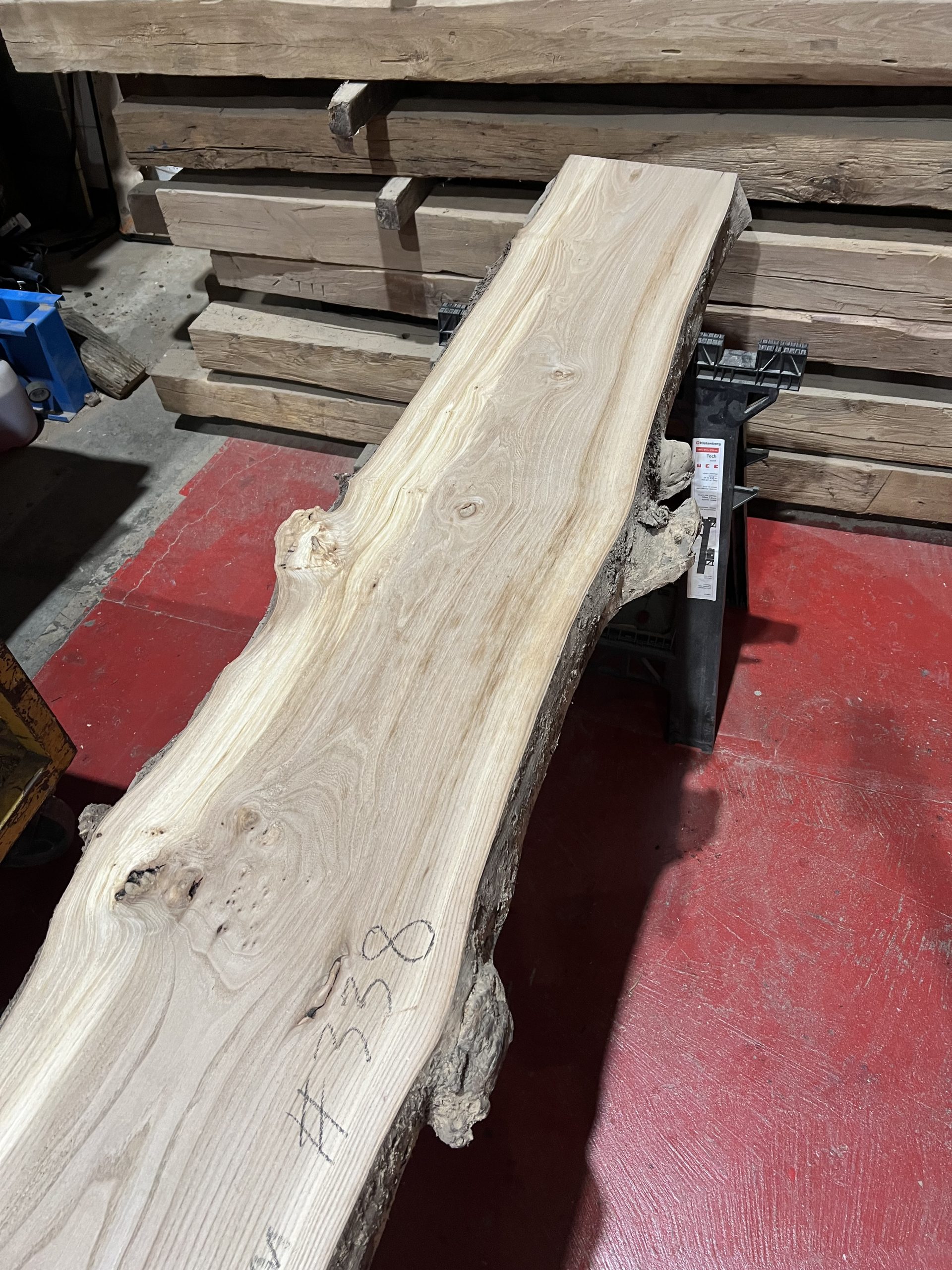 elm#338 - Image 4
