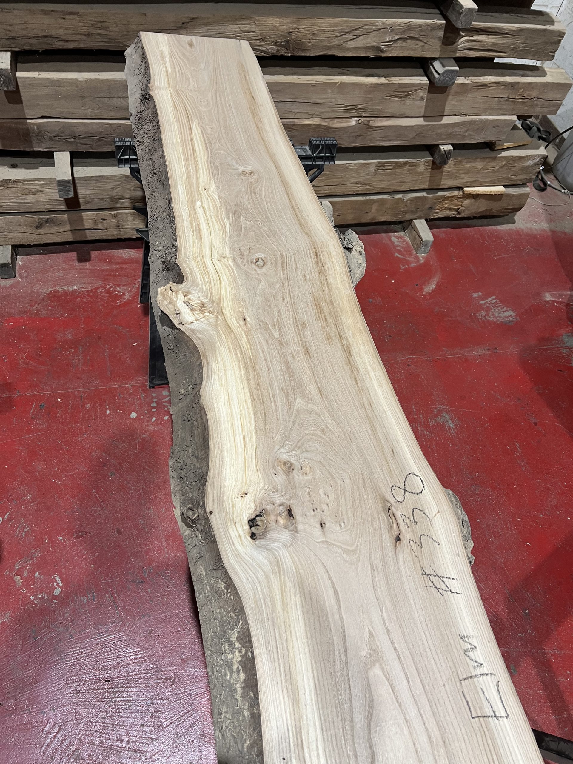elm#338 - Image 6