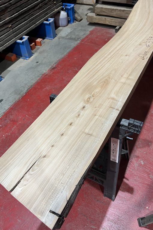 Alternative view of elm#339