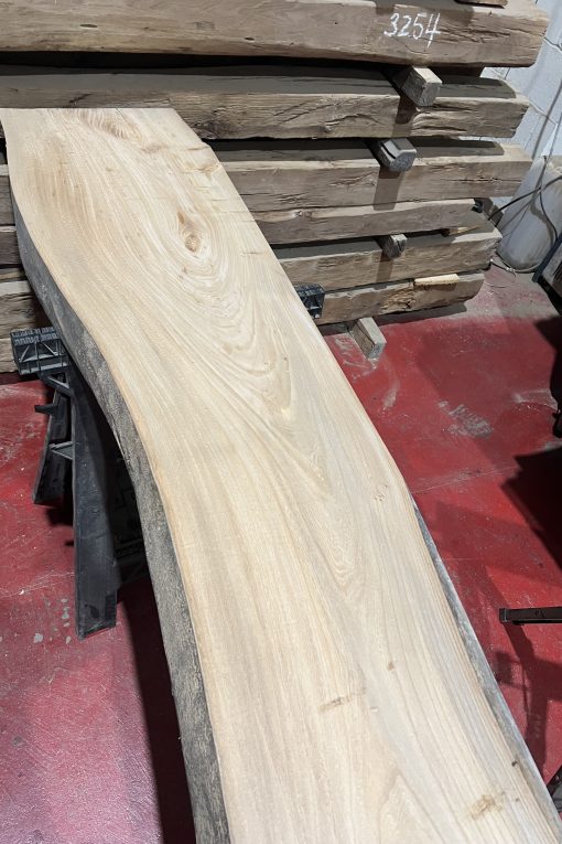 Alternative view of Elm#342