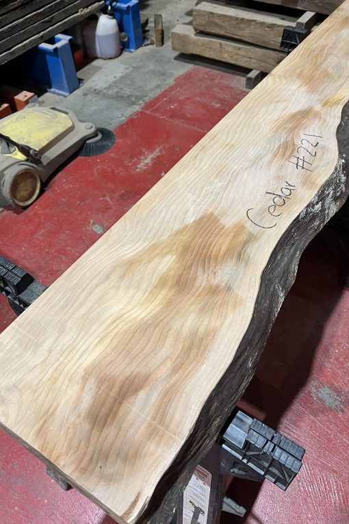 Alternative view of cedar#221