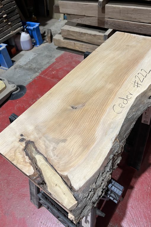 Alternative view of cedar#222
