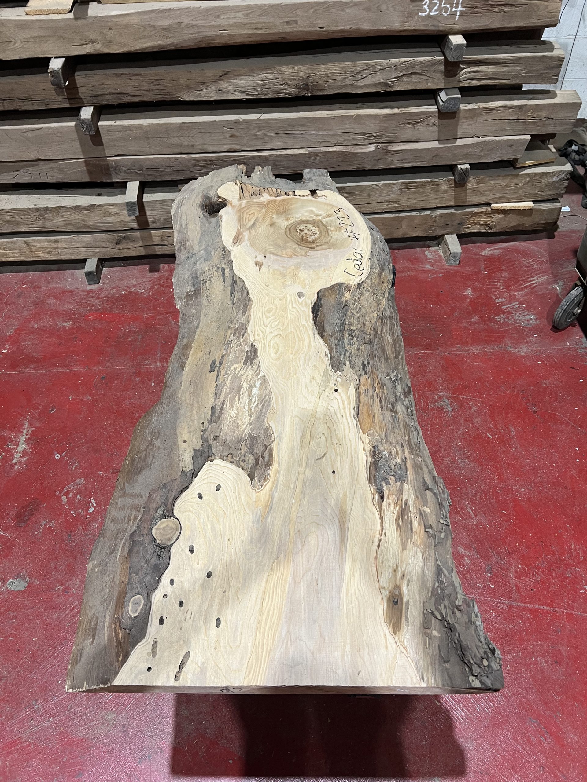 Cedar#223
