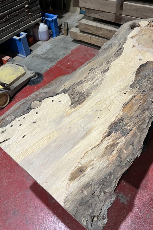 Alternative view of Cedar#223