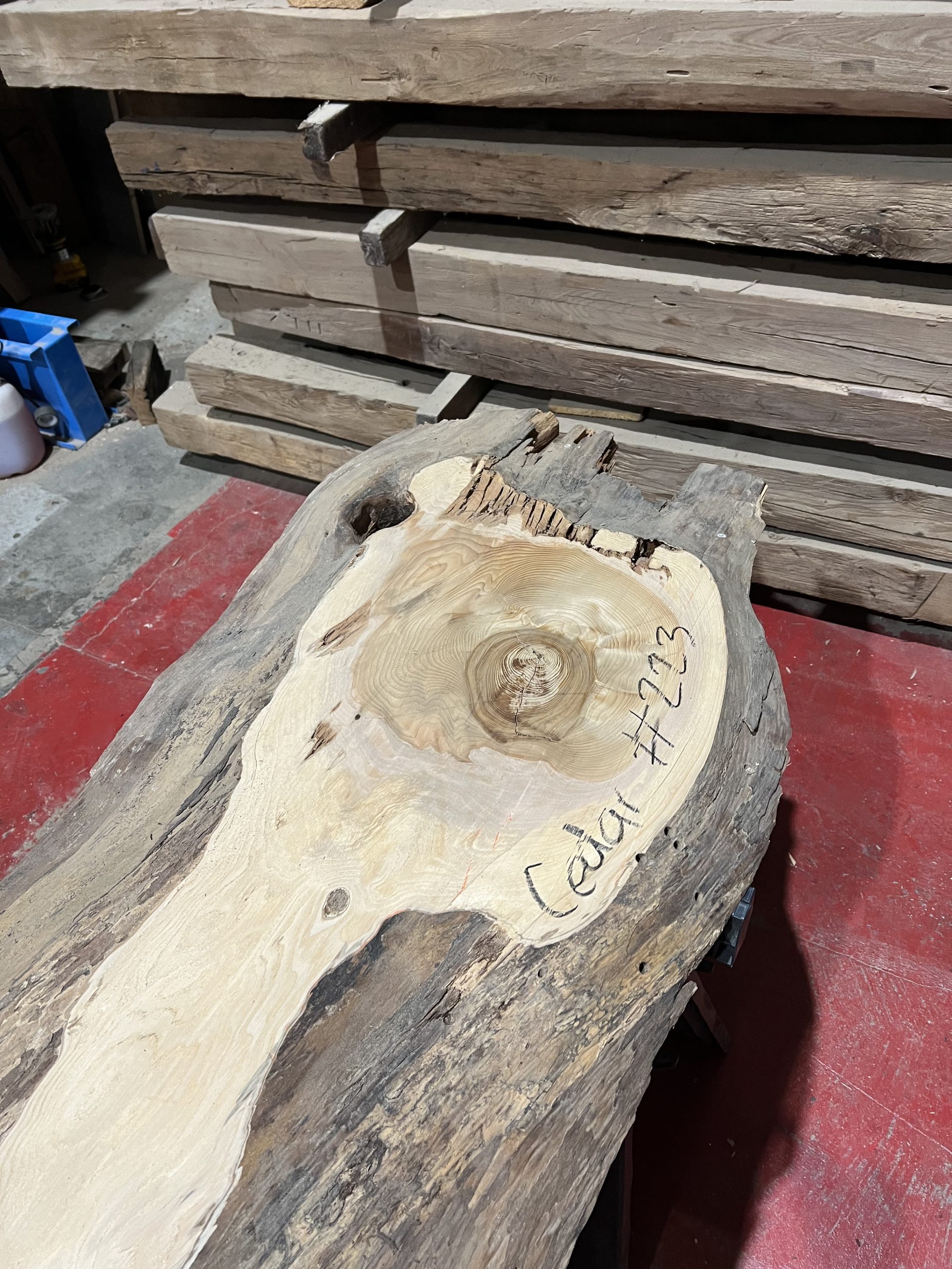 Cedar#223 - Image 3