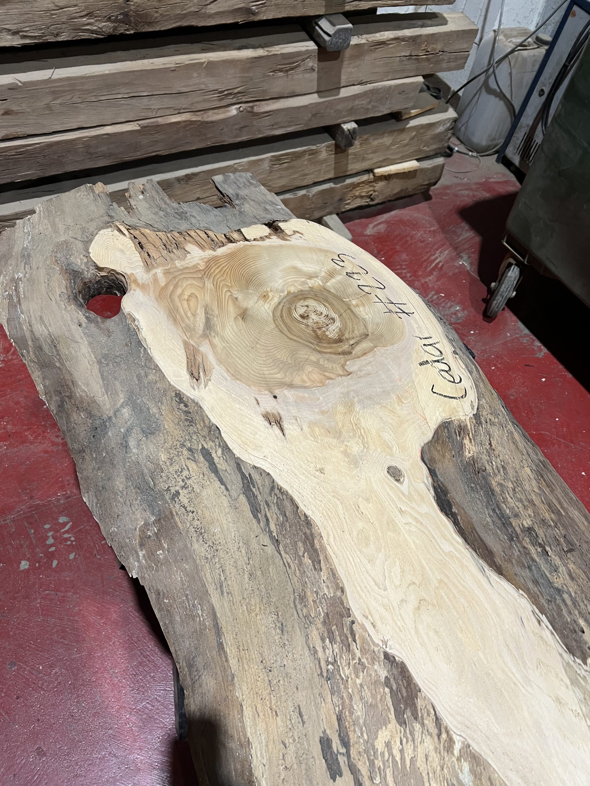 Cedar#223 - Image 5