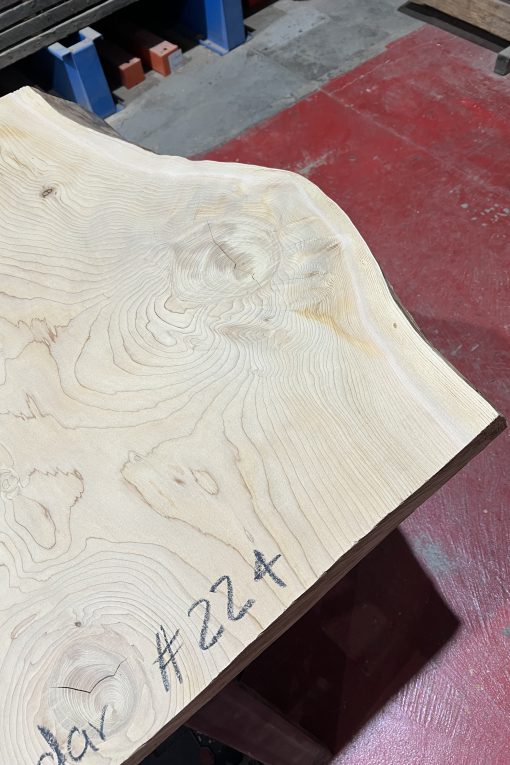 Alternative view of cedar#224