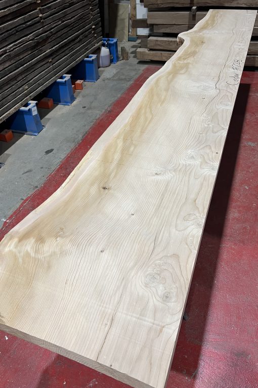 Alternative view of cedar#225