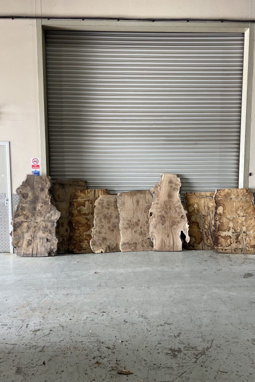 Alternative view of Burr Oak Variations