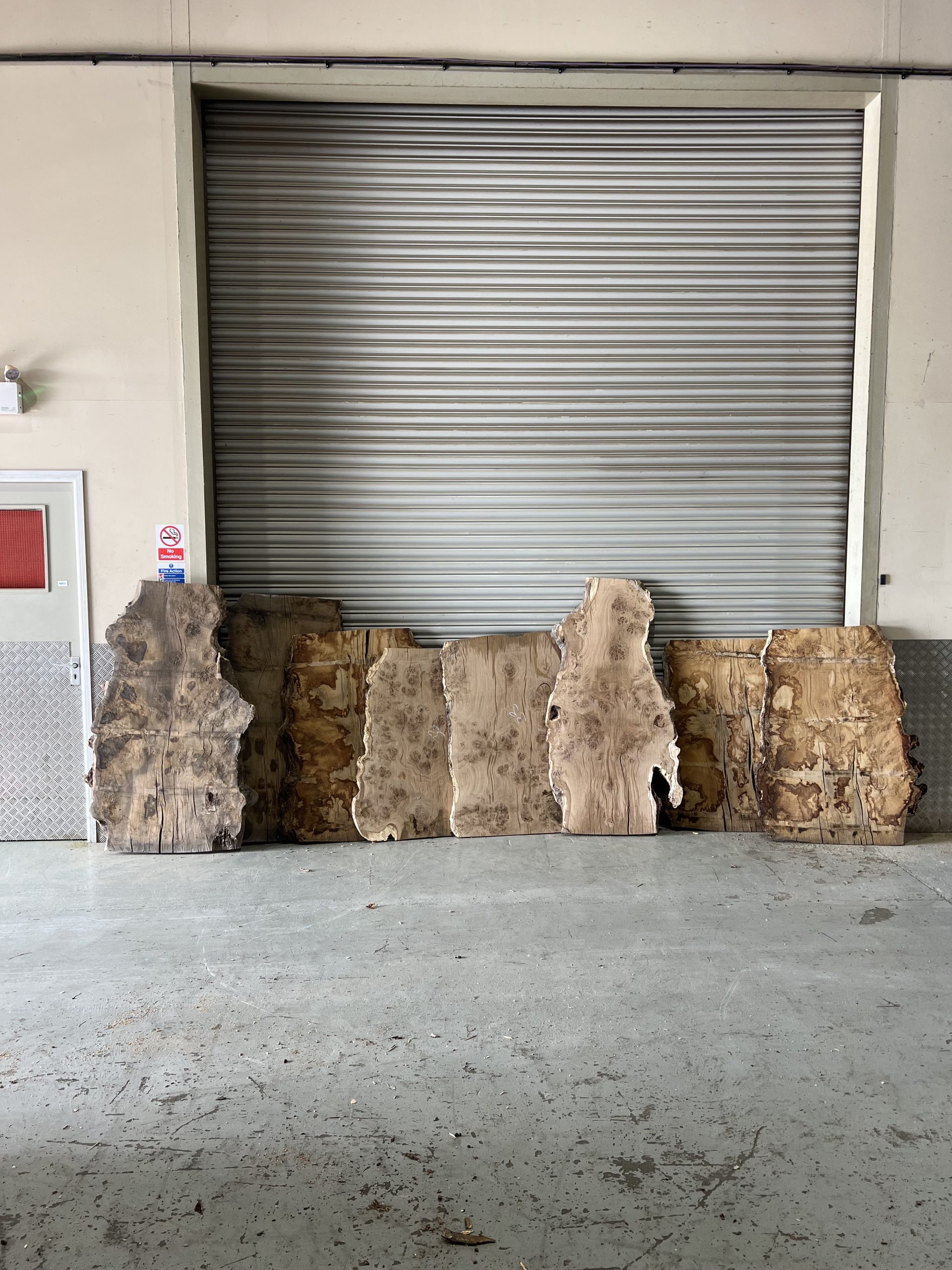 Burr Oak Variations - Image 2