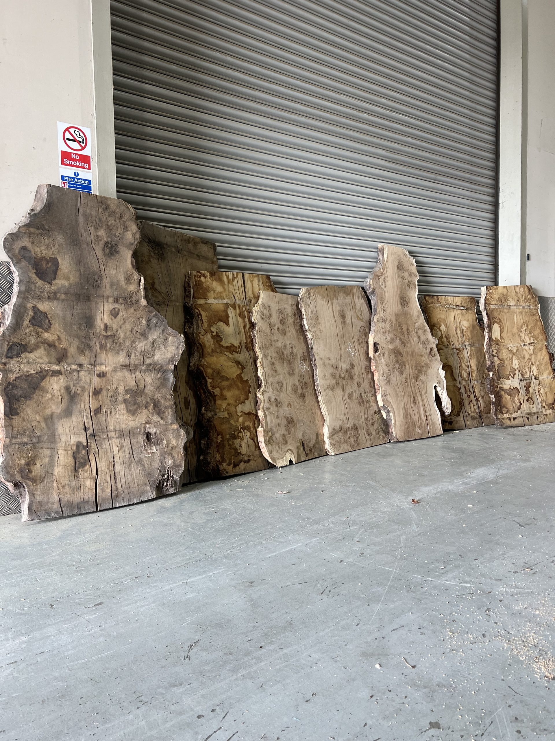 Burr Oak Variations