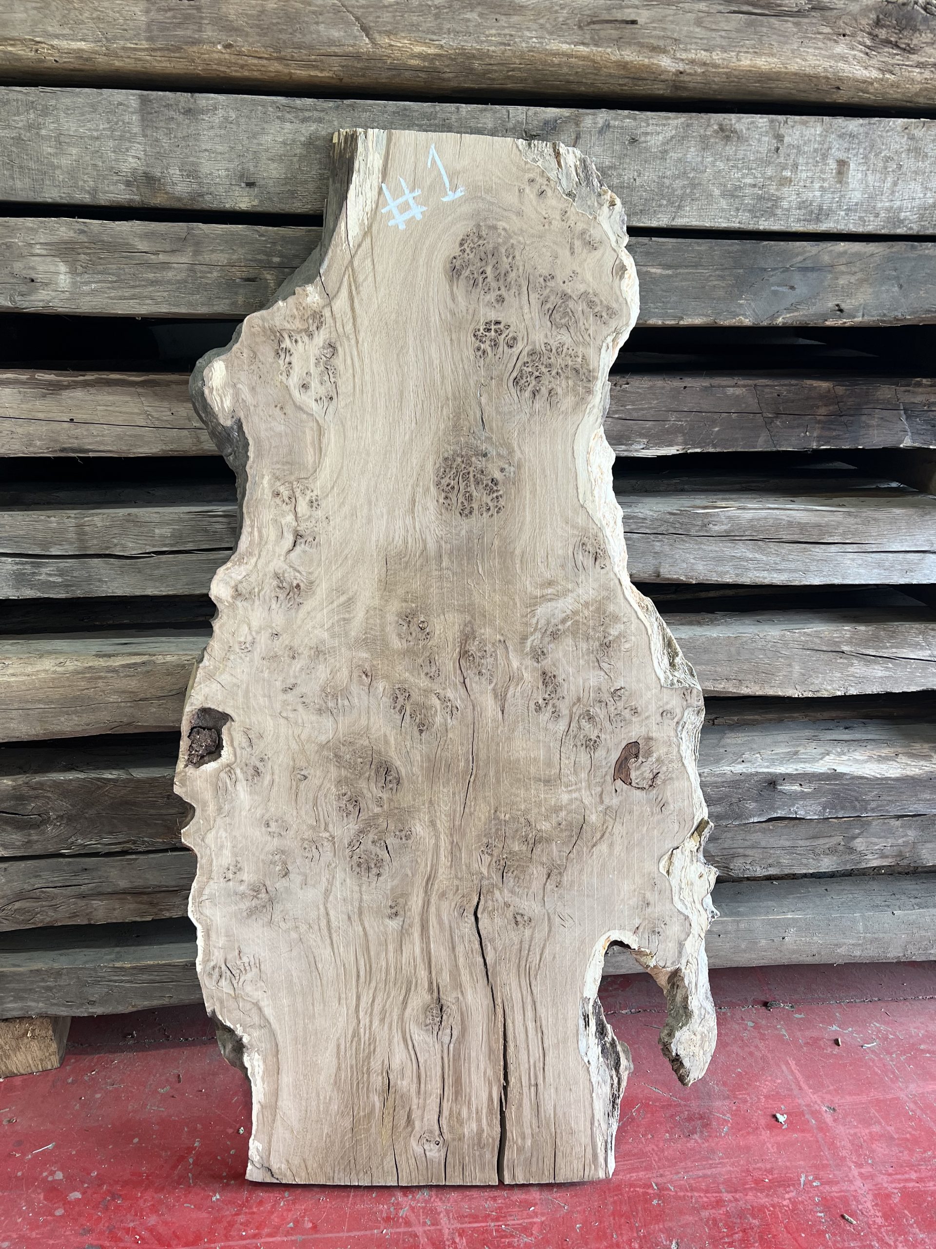 Burr Oak Variations - Image 4