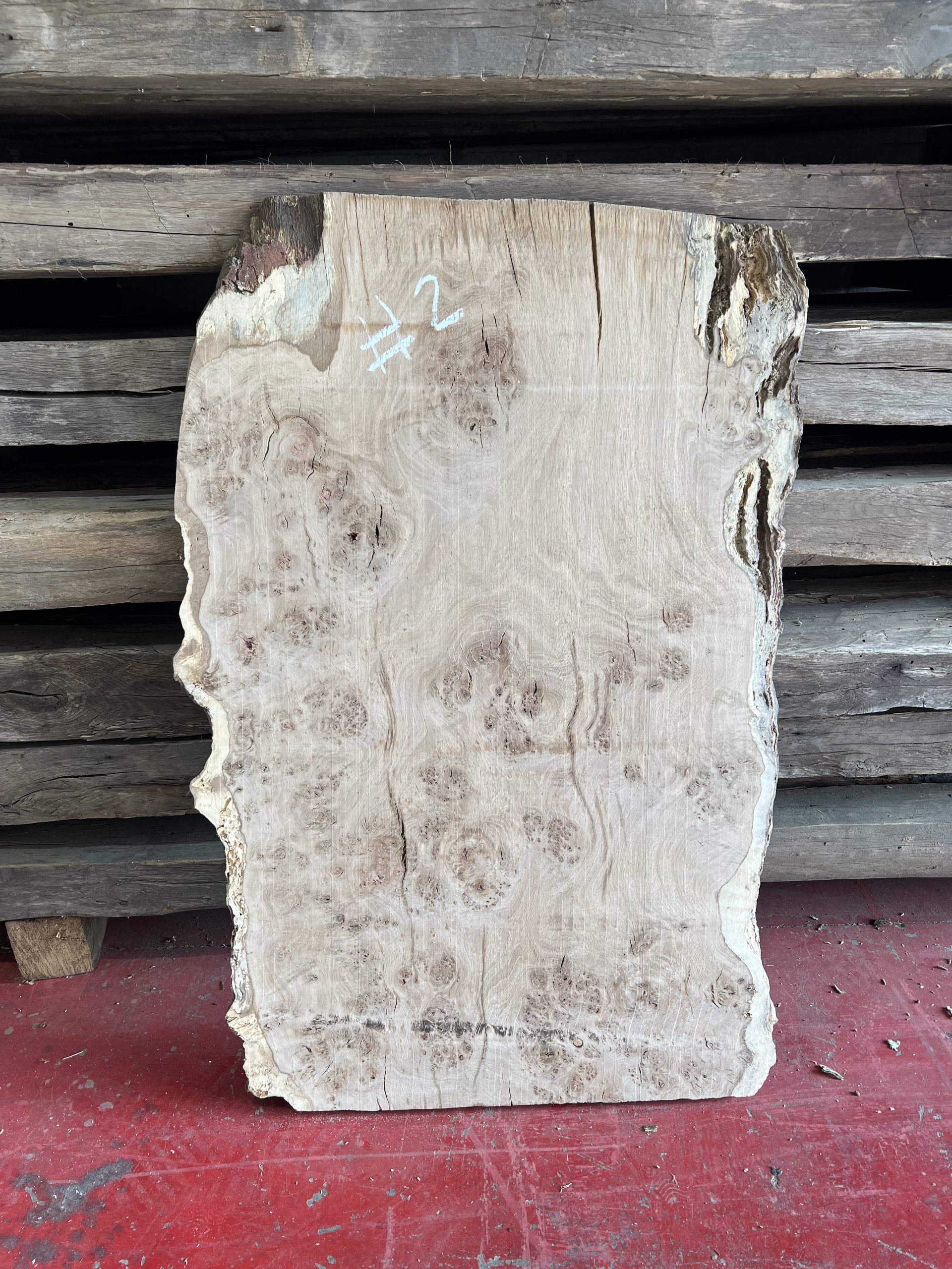 Burr Oak Variations - Image 5