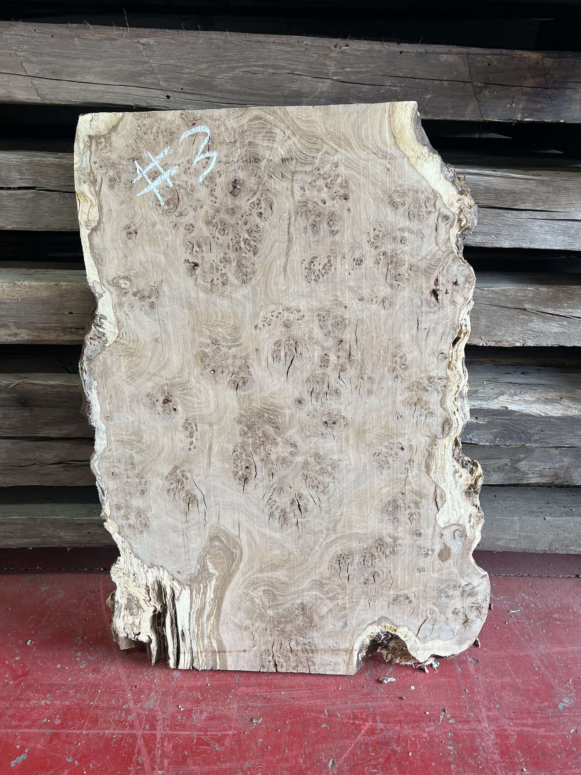 Burr Oak Variations - Image 6