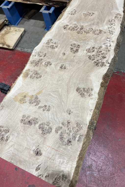 Alternative view of Oak #385