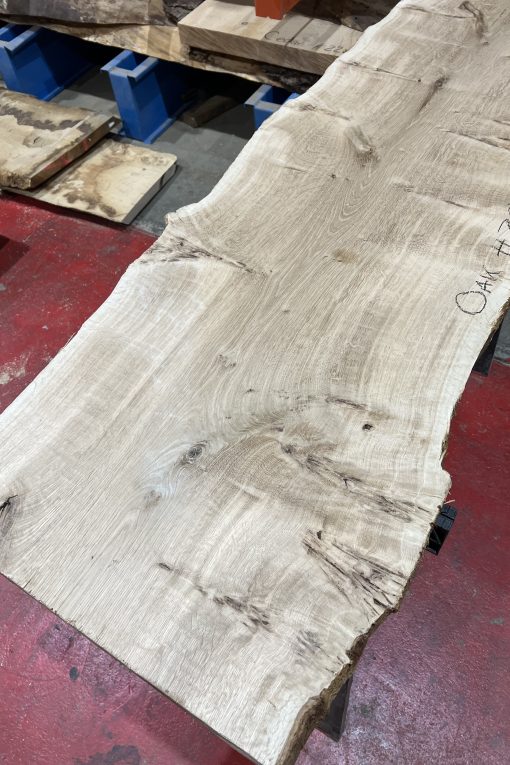 Alternative view of oak#386