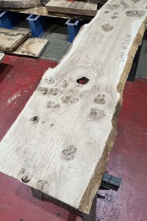 Alternative view of oak#387