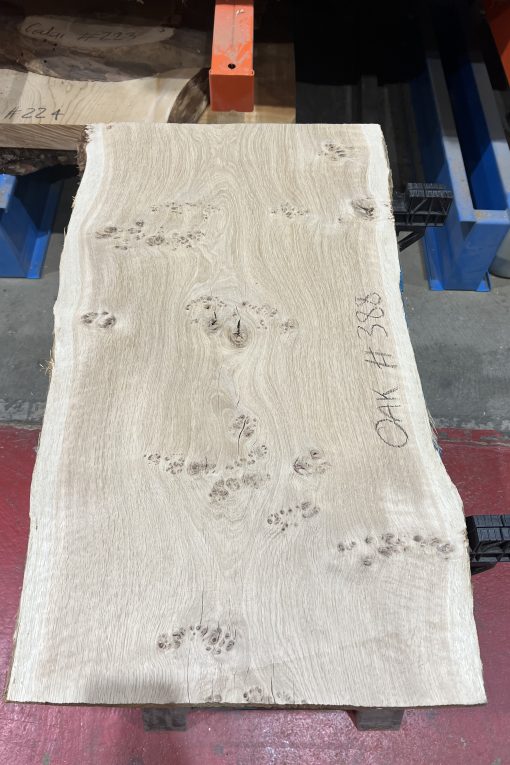 Oak#388