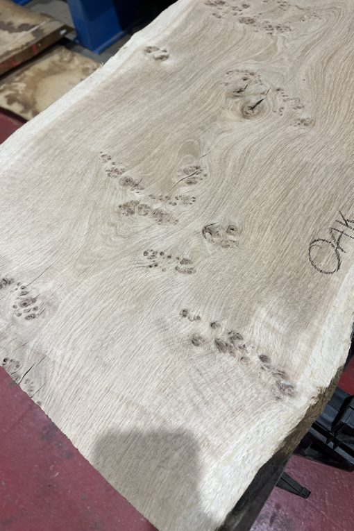 Alternative view of Oak#388