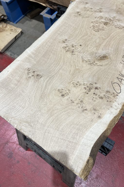 Alternative view of Oak#389