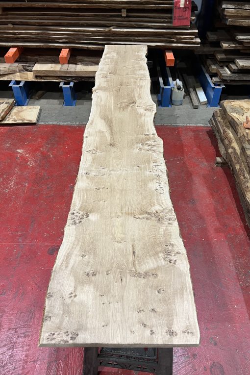 Oak#391