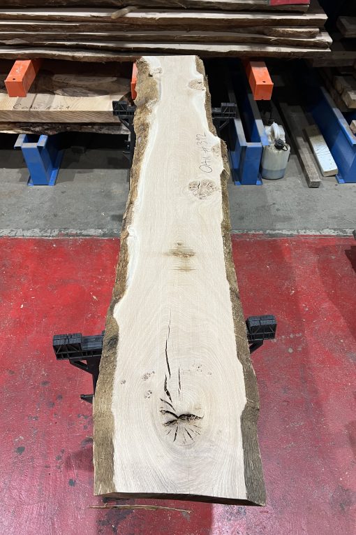 Oak#392