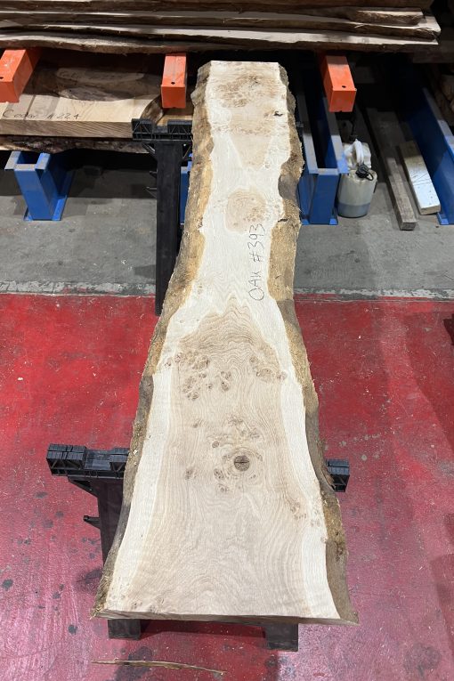 Oak#393