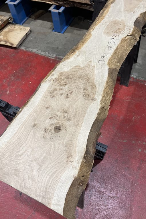 Alternative view of Oak#393