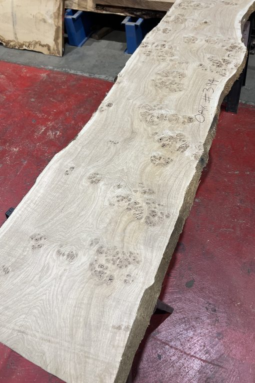 Alternative view of oak#394