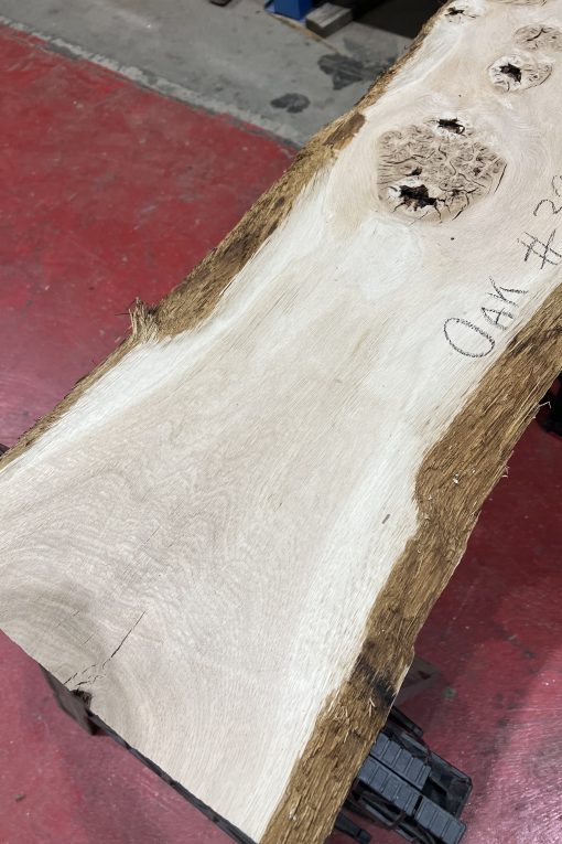 Alternative view of oak#397