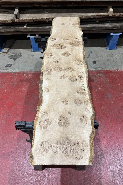 Oak#399