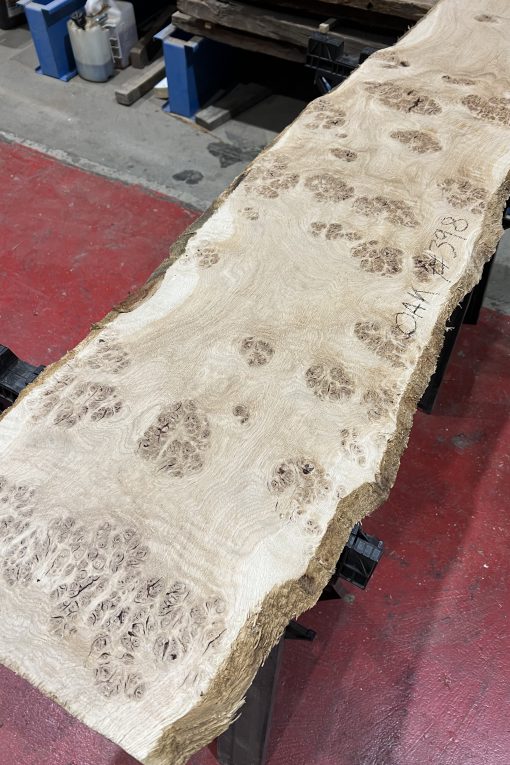 Alternative view of Oak#399