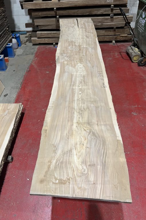 Elm#343