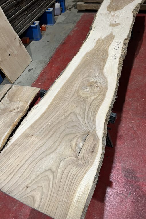 Alternative view of 27mm Elm#348