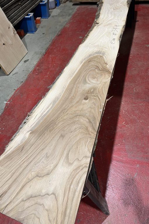 Alternative view of 27mm Elm#349